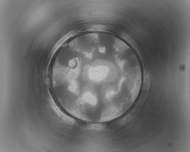 X0000114181090200911051545