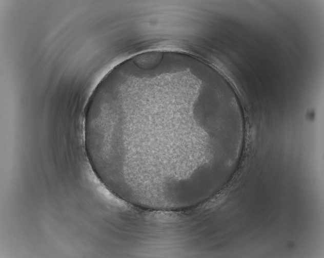 X0000114181092200911051545