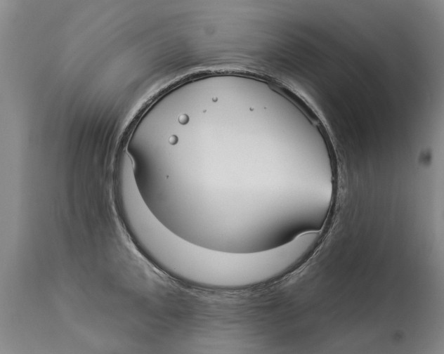 X0000114181093200911051545