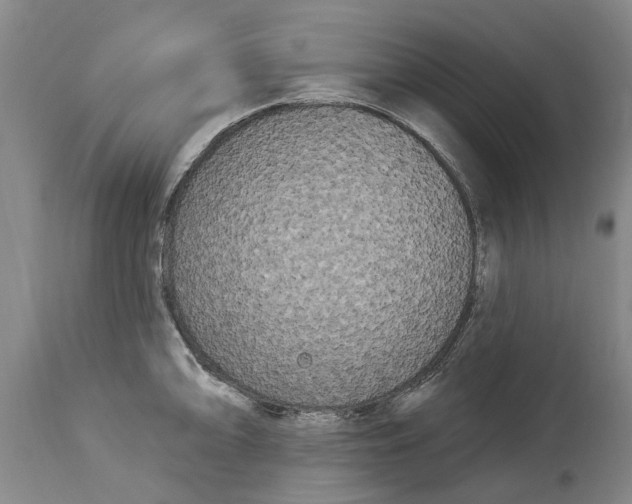 X0000114181094200911051545