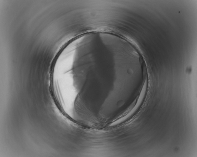 X0000114181095200911051545