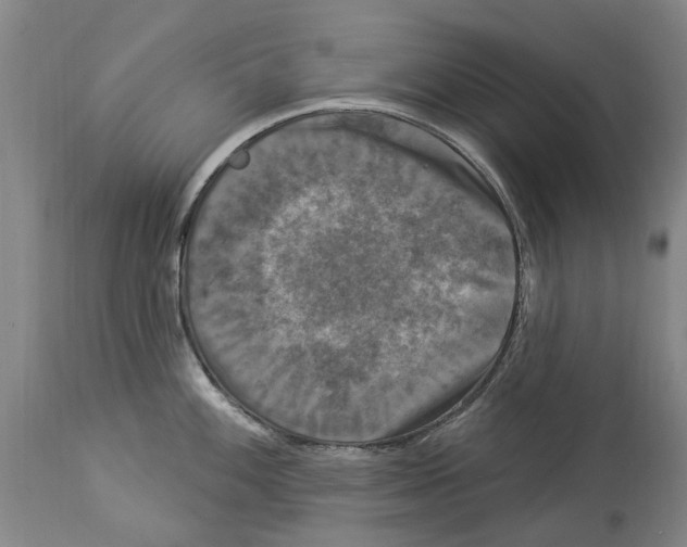 X0000114181100200911051545