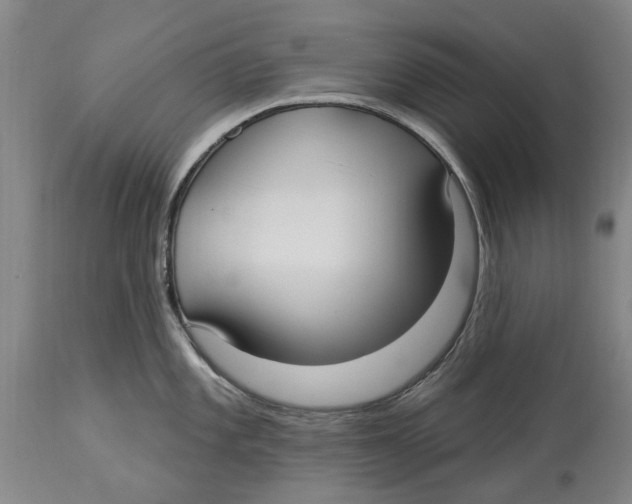 X0000114181101200911051545