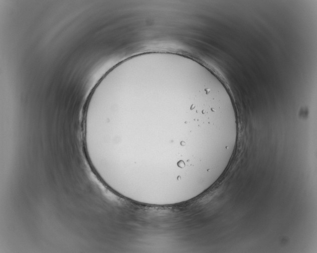 X0000114181103200911051545