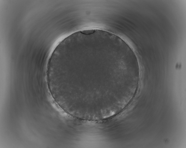 X0000114181104200911051545