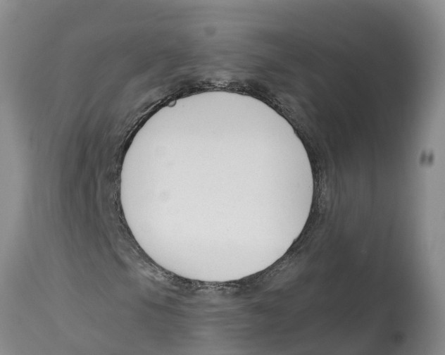 X0000114181105200911051544