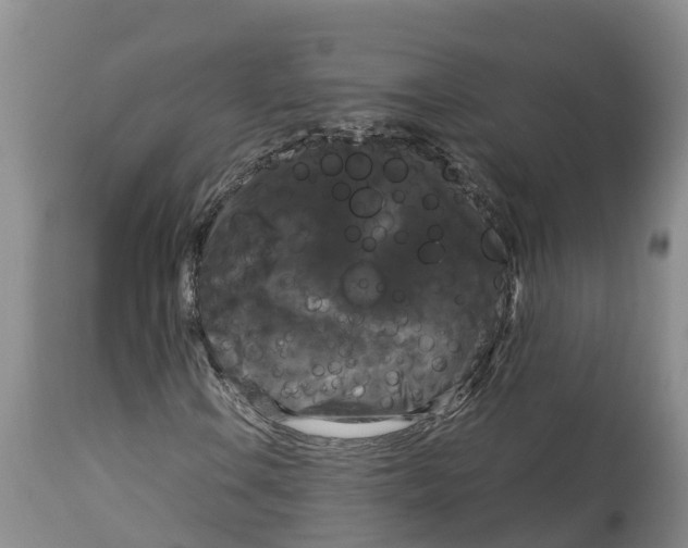 X0000114181106200911051544