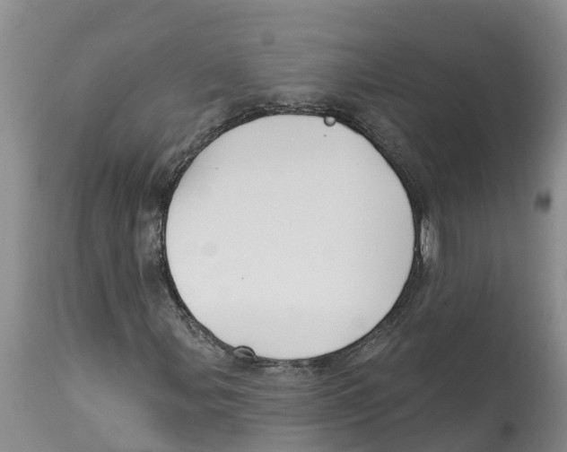 X0000114181107200911051544