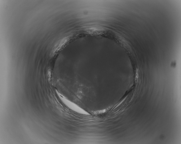 X0000114181108200911051544