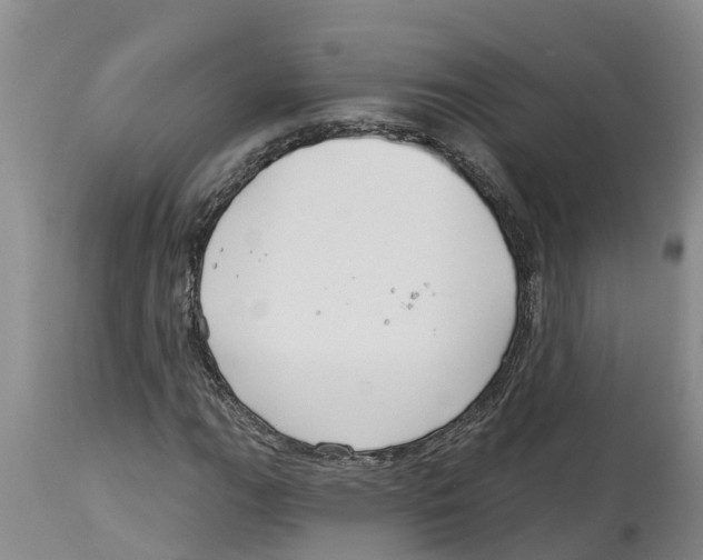 X0000114181111200911051544