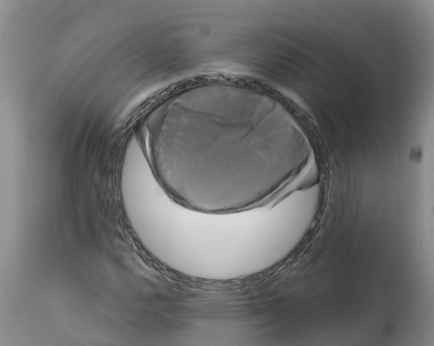 X0000114181112200911051544