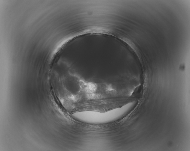 X0000114181115200911051544