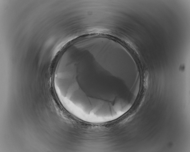 X0000114181117200911051544