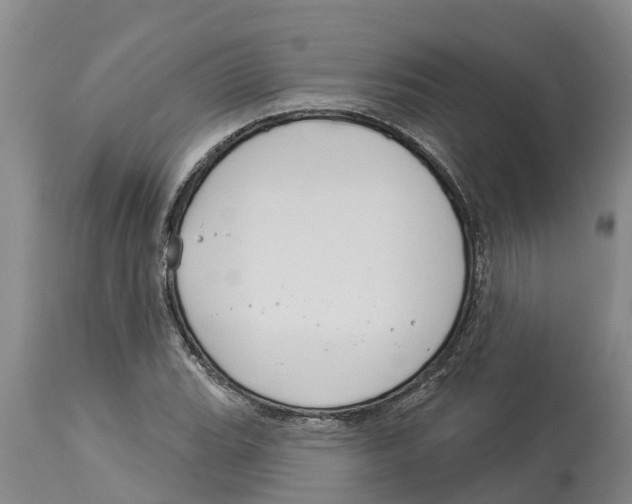 X0000114181119200911051544