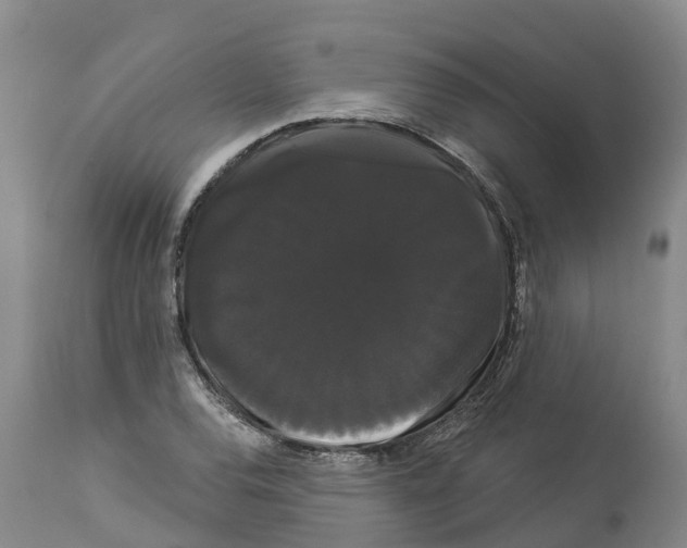 X0000114181120200911051544