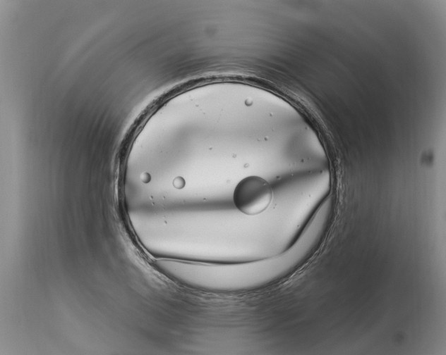 X0000114181124200911051544