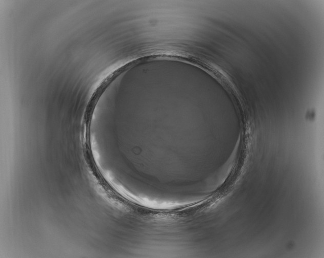 X0000114181125200911051544