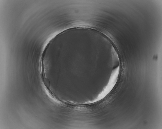 X0000114181128200911051544