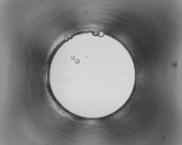 X0000114181130200911051544