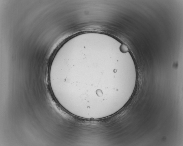 X0000114181131200911051544