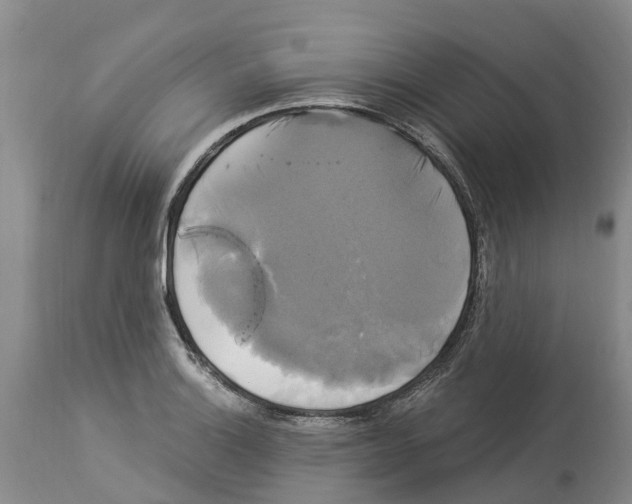 X0000114181132200911051544