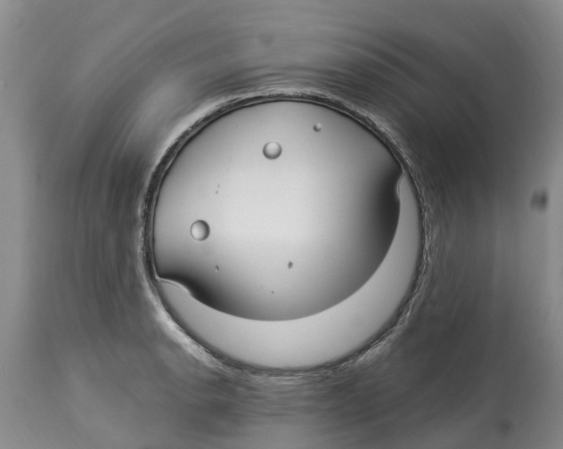 X0000114181134200911051544