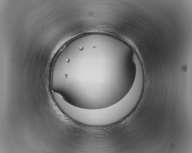 X0000114181138200911051544