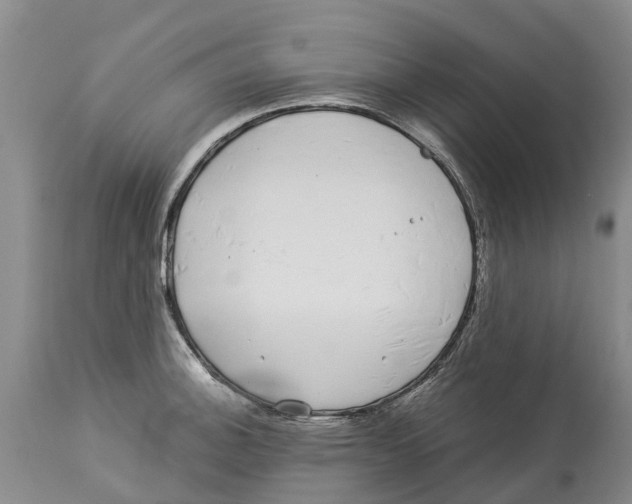 X0000114181140200911051544