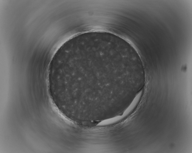 X0000114181142200911051544