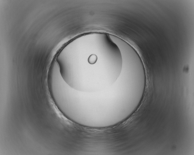 X0000114181144200911051545