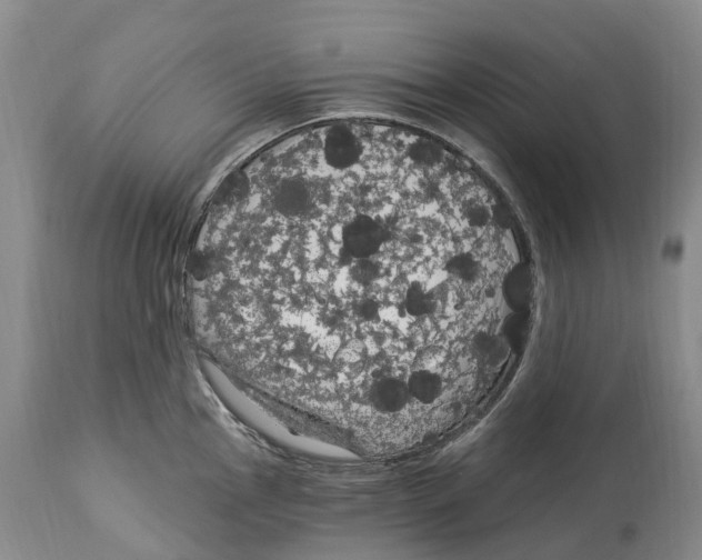 X0000114181145200911051545