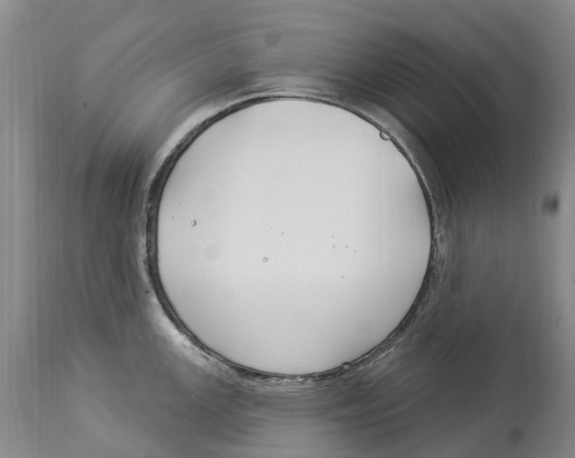 X0000114181147200911051545