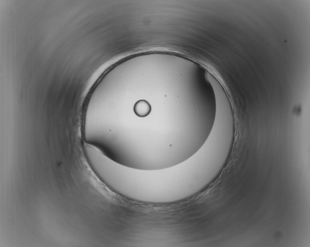 X0000114181148200911051545