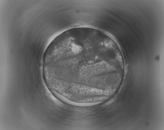 X0000114181149200911051545