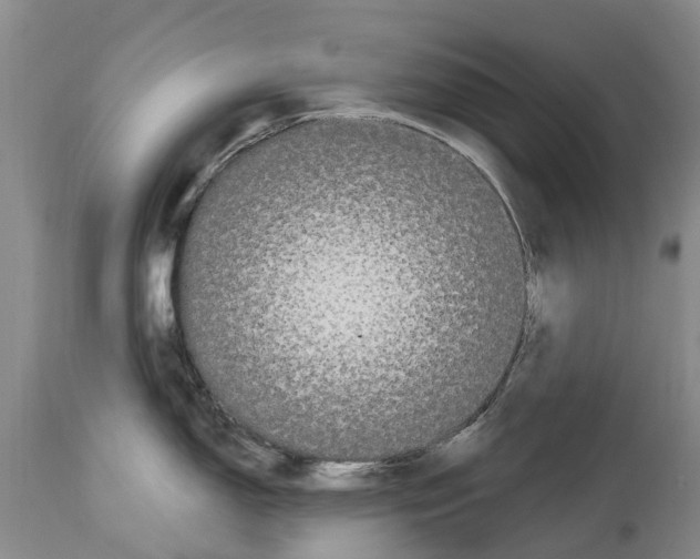 X0000114181150200911051545