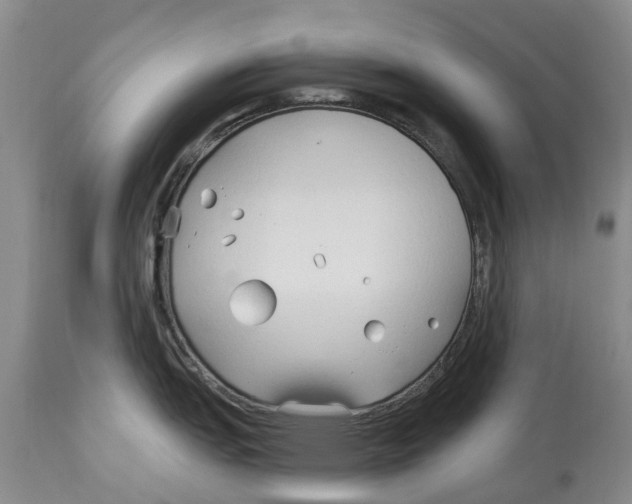 X0000114181151200911051545