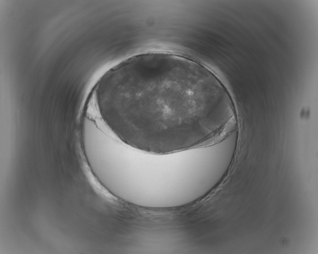 X0000114181152200911051545