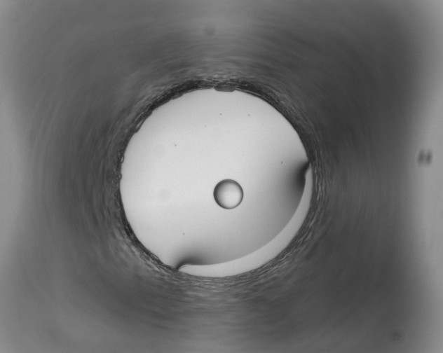 X0000114181153200911051544