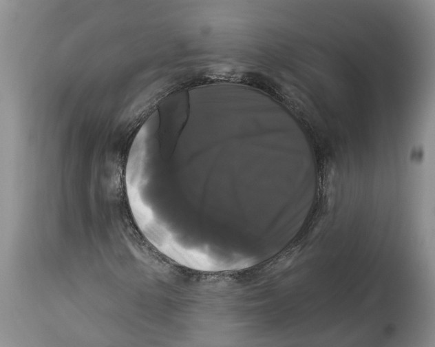 X0000114181154200911051544