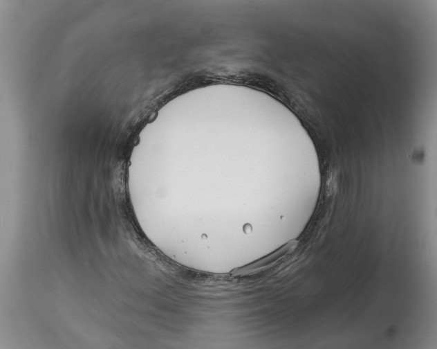 X0000114181156200911051544