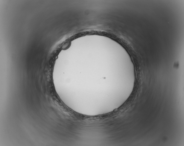 X0000114181159200911051544