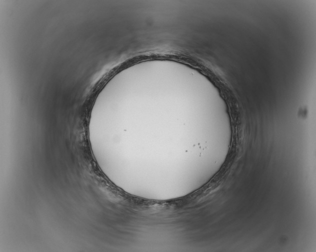 X0000114181160200911051544