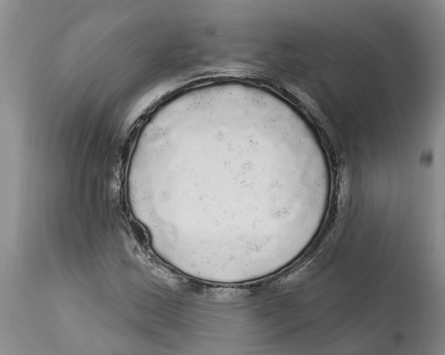 X0000114181163200911051544