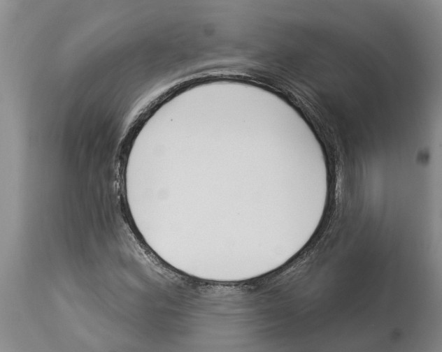 X0000114181164200911051544