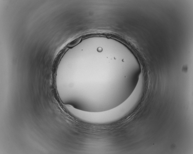 X0000114181165200911051544