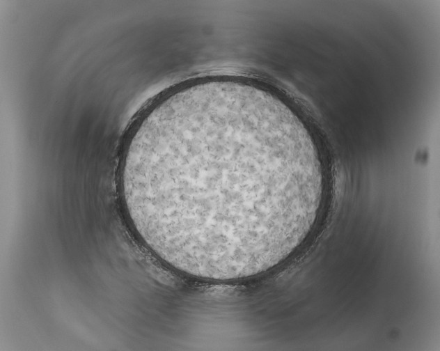 X0000114181166200911051544