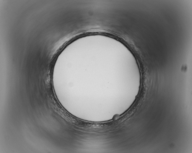 X0000114181167200911051544