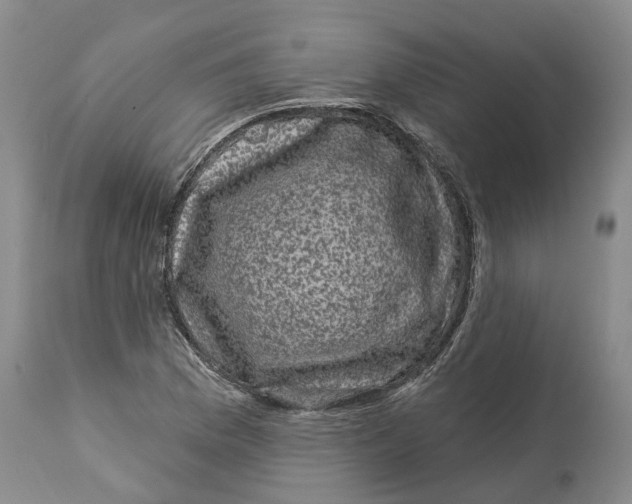 X0000114181169200911051544