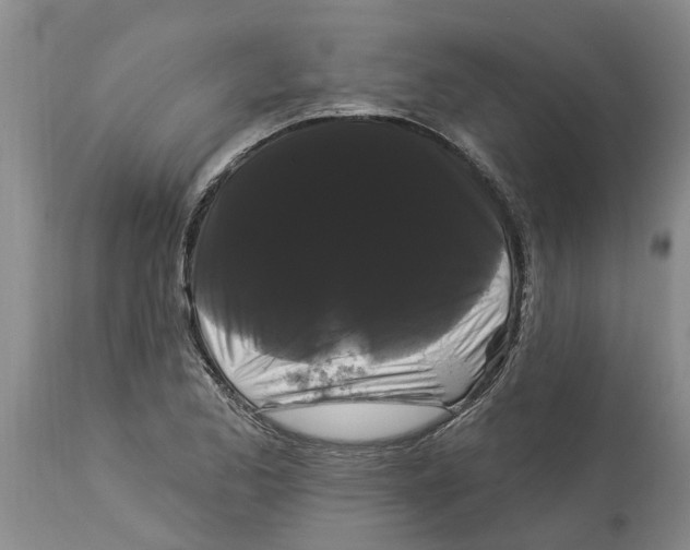 X0000114181173200911051544