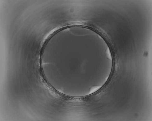 X0000114181174200911051544